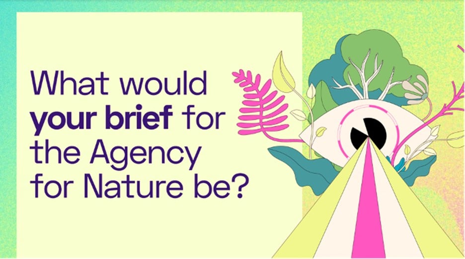 Nature agency 1.jpg